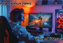 Plugboxlinux News