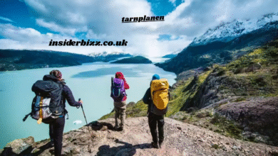 tarnplanen