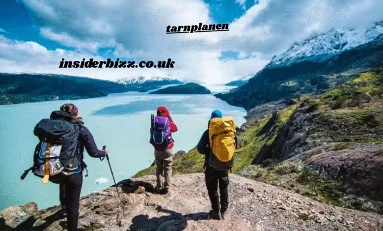 tarnplanen