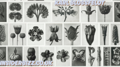 karl blossfeldt