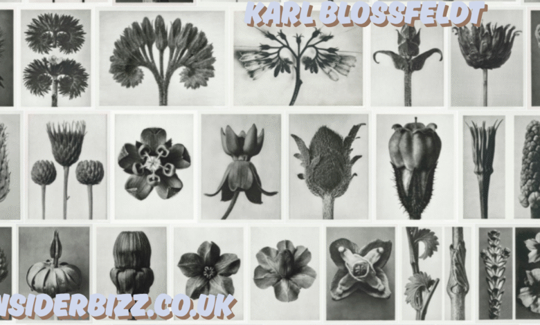 karl blossfeldt