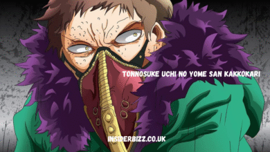 tonnosuke uchi no yome san kakkokari
