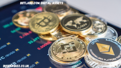 biitland.com digital assets