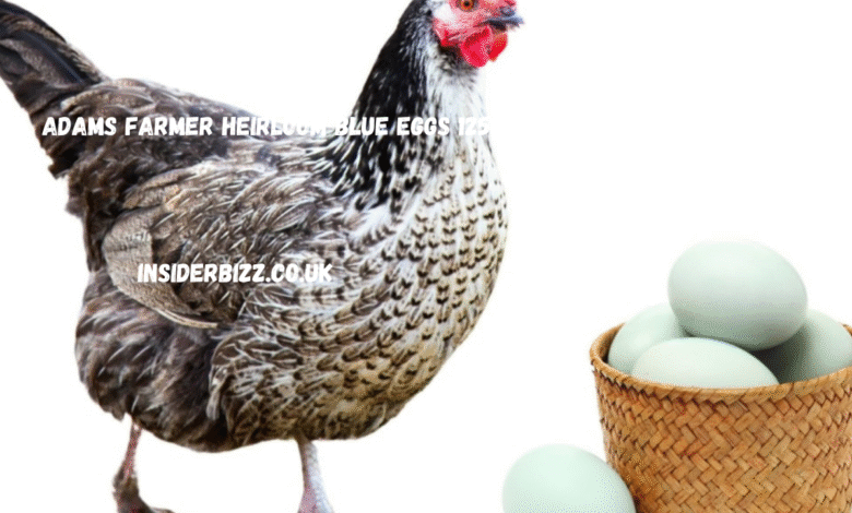 adams farmer heirloom blue eggs 12524