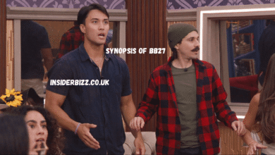 synopsis of bb27