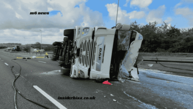 m6 news