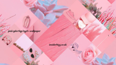 pink:gdxr6qp7qy0= wallpaper