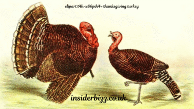 clipart:t4h-x66pih4= thanksgiving turkey