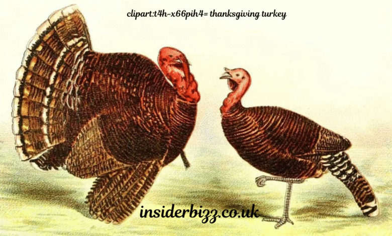 clipart:t4h-x66pih4= thanksgiving turkey