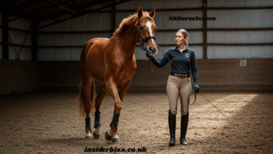 NSHorseScreen