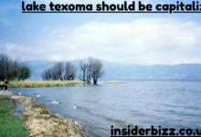 lake texoma should be capitalized
